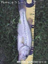 �֥�å��Х�