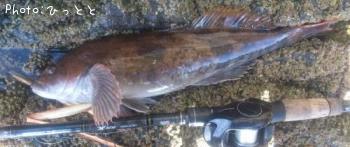 �����ʥ�