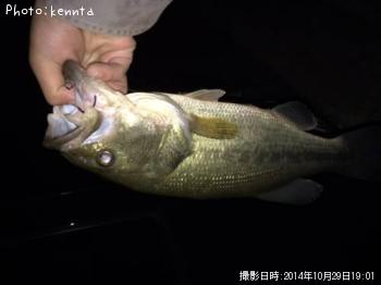 �֥�å��Х�