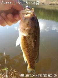 ¥Ö¥é¥Ã¥¯¥Ð¥¹