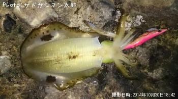 �����ꥤ��