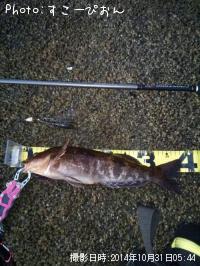 �����ʥ�