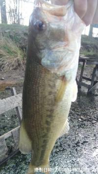 ¥Ö¥é¥Ã¥¯¥Ð¥¹