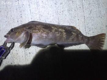 �����ʥ�