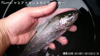 ¥ì¥¤¥ó¥Ü¡¼¥È¥é¥¦¥È