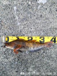 �����ʥ�