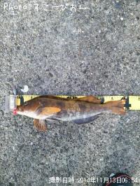 �����ʥ�