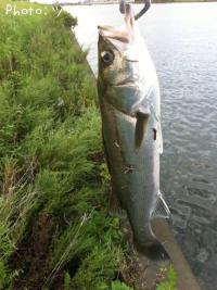 �����Х�