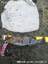 �����ʥ�