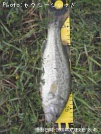 ¥Ö¥é¥Ã¥¯¥Ð¥¹