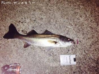 �����Х�