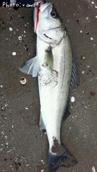 �����Х�