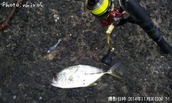 ¥®¥ó¥¬¥á¥¢¥¸