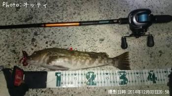 �����ʥ�