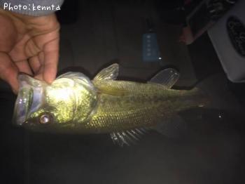 ¥Ö¥é¥Ã¥¯¥Ð¥¹