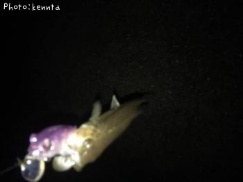 �֥�å��Х�