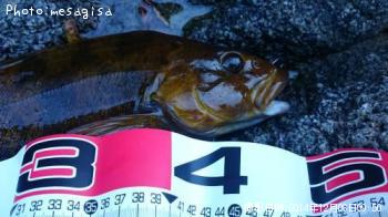 �����ʥ�