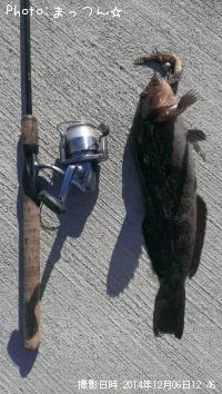 �����ʥ�