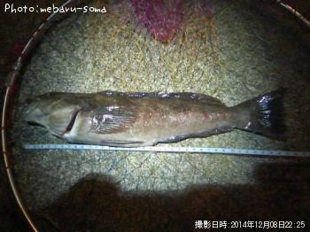 �����ʥ�