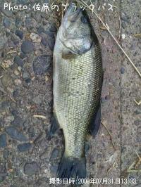 �֥�å��Х�