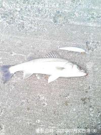 �����Х�