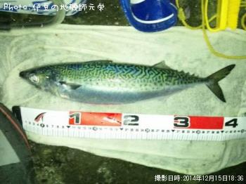 ���ޥ���