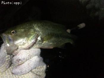 ¥Ö¥é¥Ã¥¯¥Ð¥¹