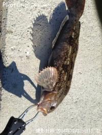 �����ʥ�