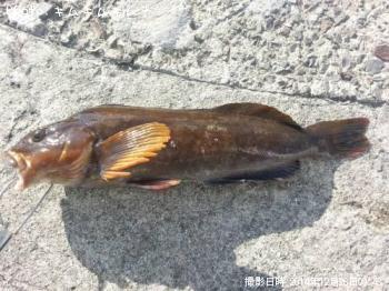 �����ʥ�