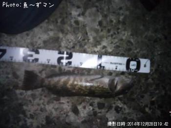 �����ʥ�