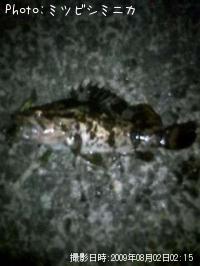 ¥¿¥±¥Î¥³¥á¥Ð¥ë