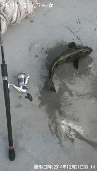 �����ʥ�