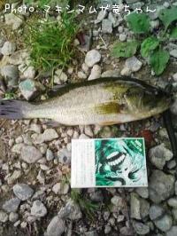 �֥�å��Х�