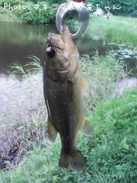 �֥�å��Х�