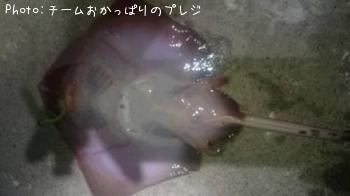 �����Υ���Х�