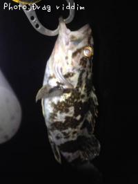 �����Υ���Х�