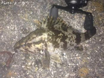 ¥¿¥±¥Î¥³¥á¥Ð¥ë