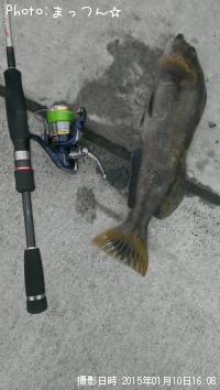 �����ʥ�