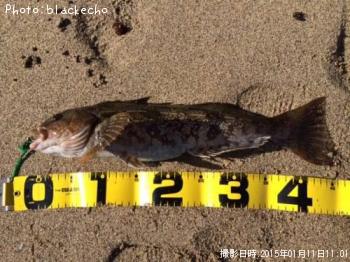 �����ʥ�