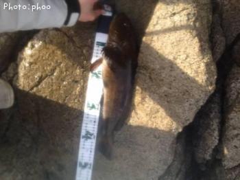 �����ʥ�