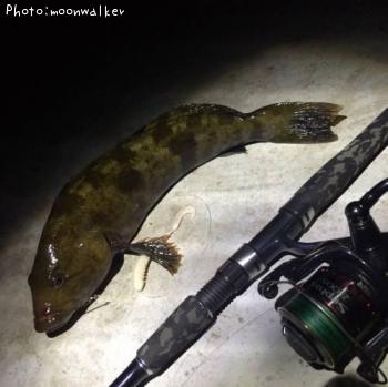 �����ʥ�