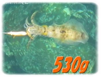 �����ꥤ��