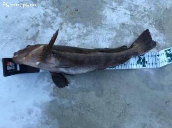 �����ʥ�