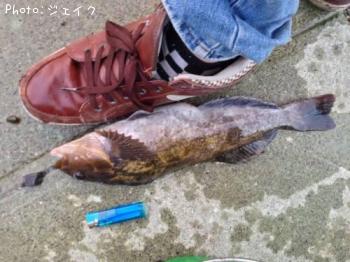 �����ʥ�