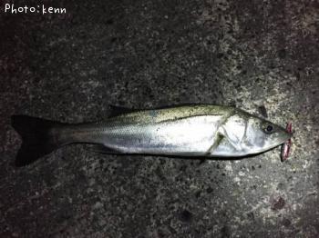 �����Х�