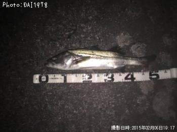 �����Х�