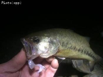 ¥Ö¥é¥Ã¥¯¥Ð¥¹