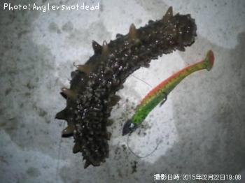 £Î£Á£Í£Á£Ë£Ï¡¡¡ª¡ª