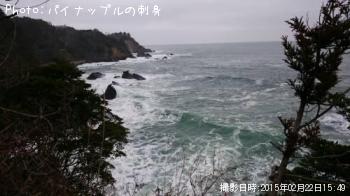 �����ʥ�