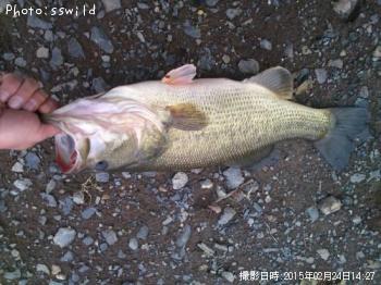 �֥�å��Х�